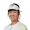 Han Shi