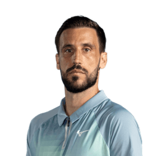 Damir Dzumhur