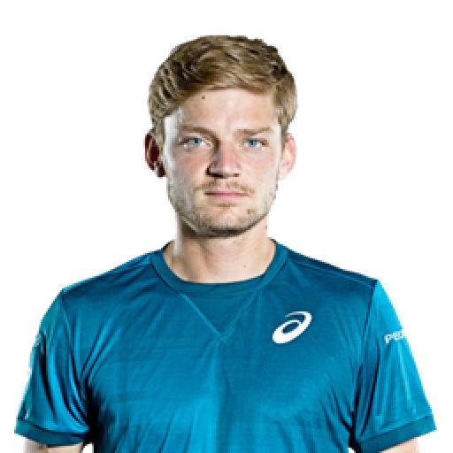 David Goffin