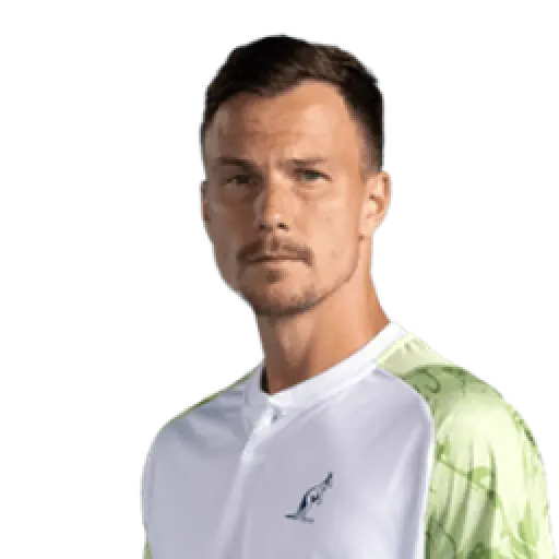 Marton Fucsovics