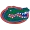 FLORIDA GATORS