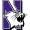 Northwestern Wildcats