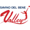 Pallavolo Scandicci