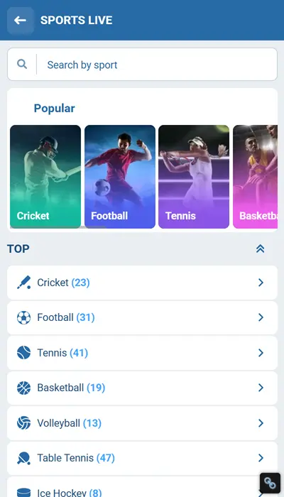 1xbet sports match