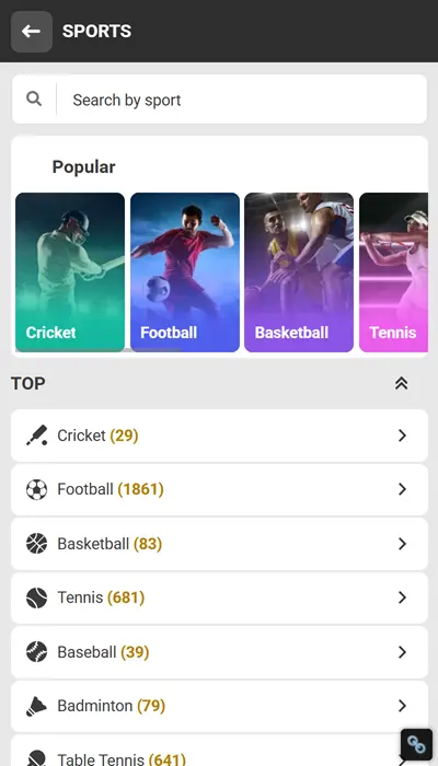 Melbet India sports betting