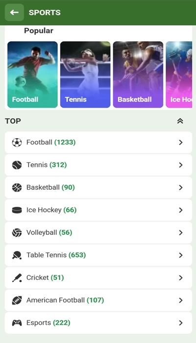 Linebet sports betting