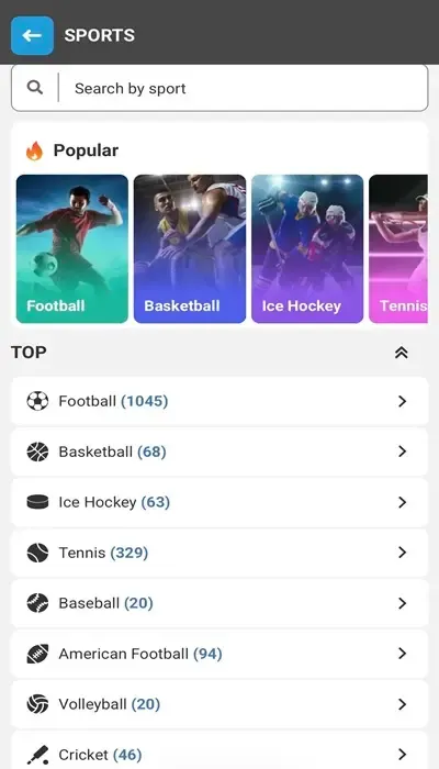 megapari sports betting