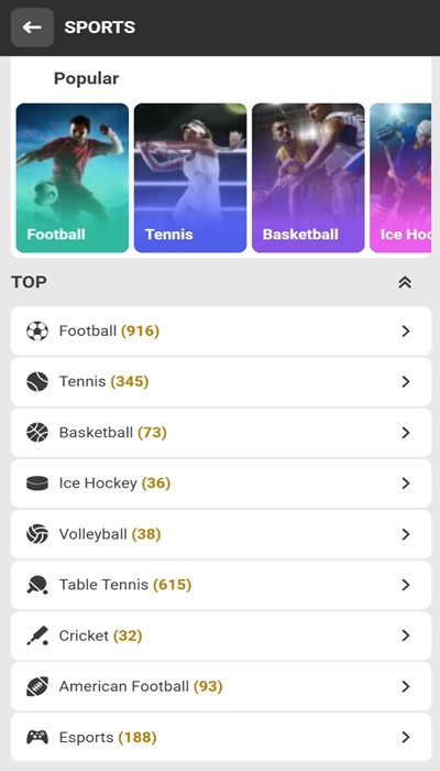Melbet sports betting
