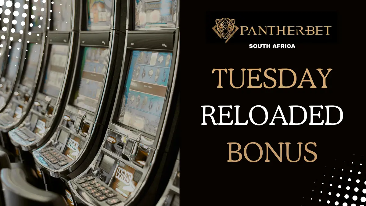 pantherbet_tuesday_reload