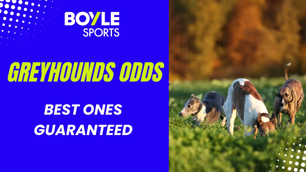 boylesports promo best odds guaranteed