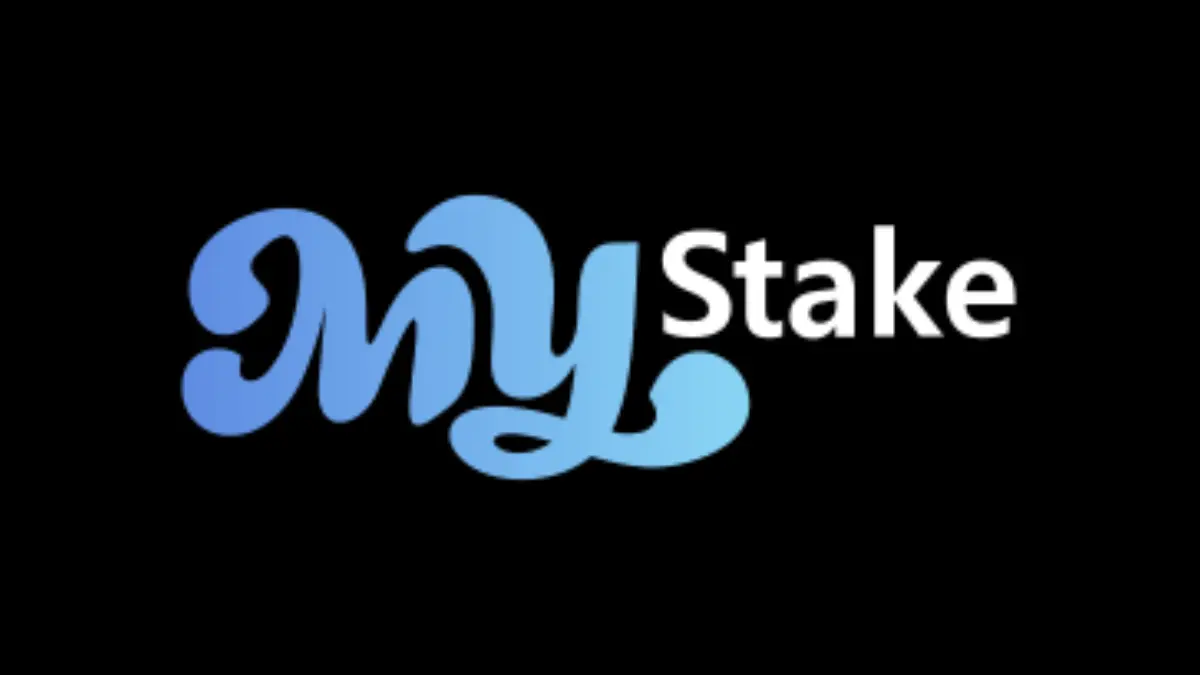 Opinion sobre Mystake Latam