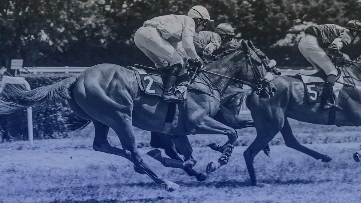Horse racing
