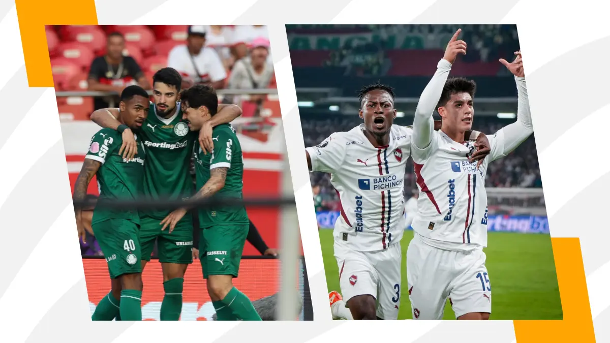 Momios Palmeiras vs LDU Quito