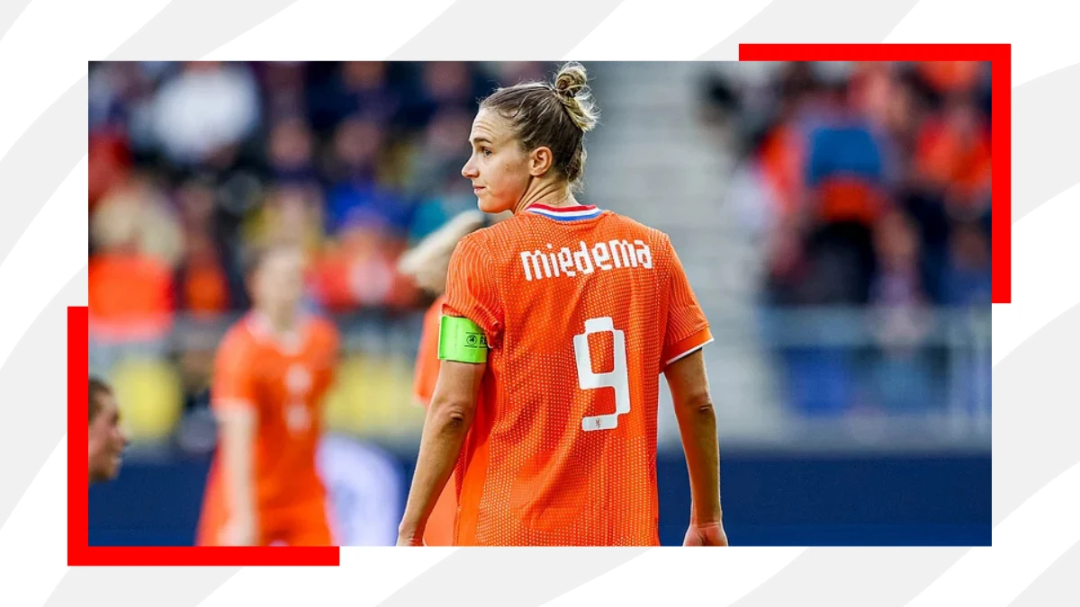 netherland's miedema