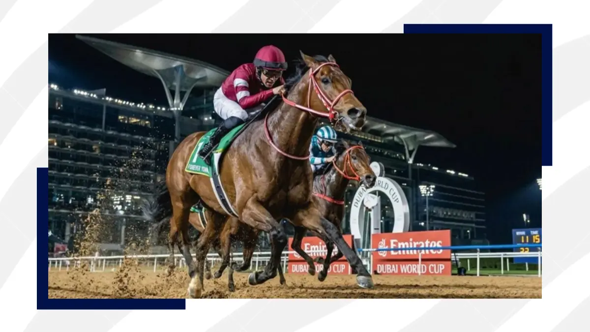 Dubai World Cup 2026: Top Picks and Tips for Meydan’s $12 Million Showpiece