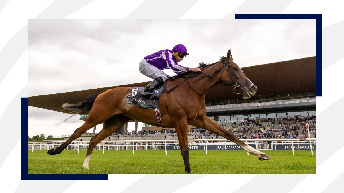 melbourne_cup_2025_v3