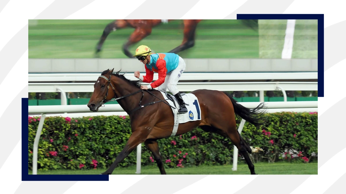 Rosallion is the favourite to win the Queen Anne Stakes