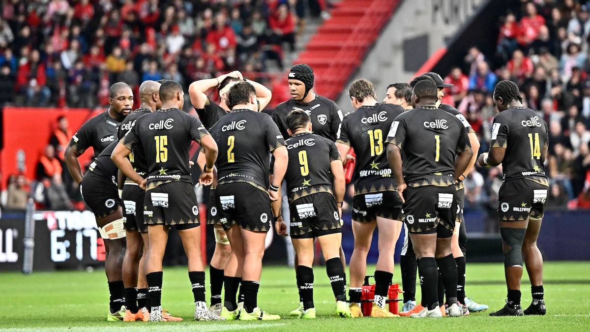 Currie Cup guidance predictions
