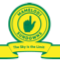 Chippa United FC vs Mamelodi Sundowns LIVE Score ...