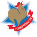 Shanghai Shenxin
